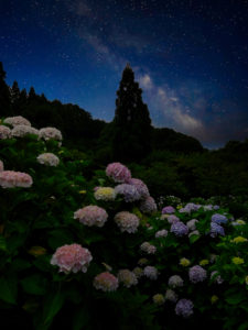 あわじ花の歳時記園