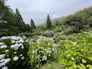 あわじ花の歳時記園