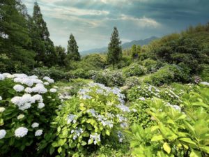 あわじ花の歳時記園