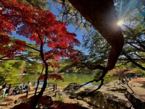 再度公園の紅葉
