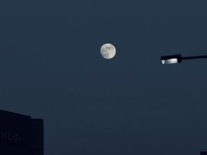 ビーバームーン